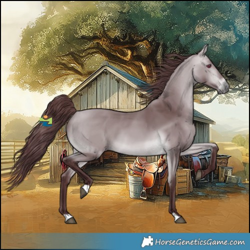 Horse Color:Chocolate Bay Chinchilla 