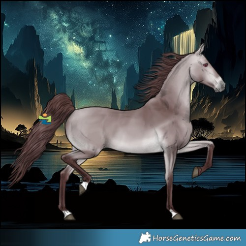 Horse Color:Chocolate Bay Chinchilla 