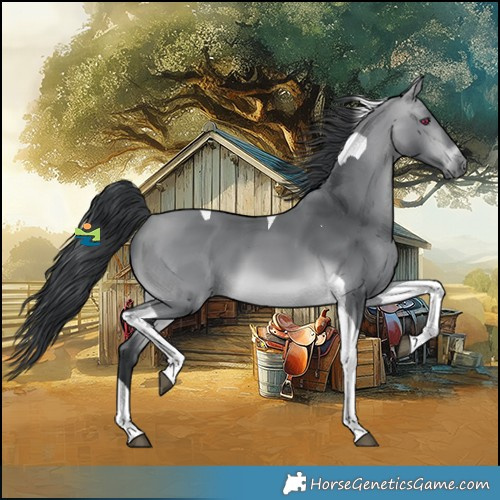 Horse Color:Platinum Bay Chinchilla Tobiano 