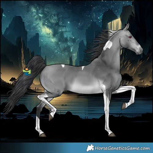 Horse Color:Platinum Bay Chinchilla Tobiano 