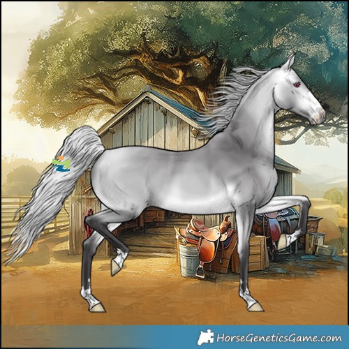 Horse Color:Platinum Silver Buckskin Chinchilla 
