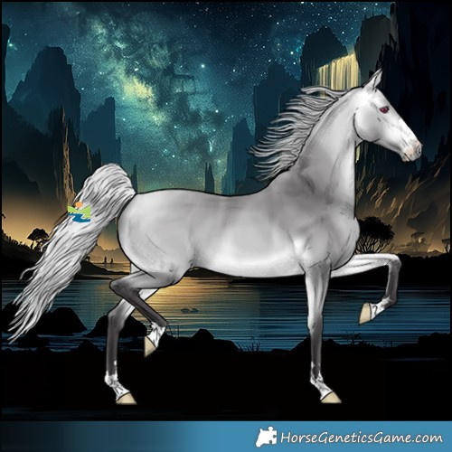 Horse Color:Platinum Silver Buckskin Chinchilla 