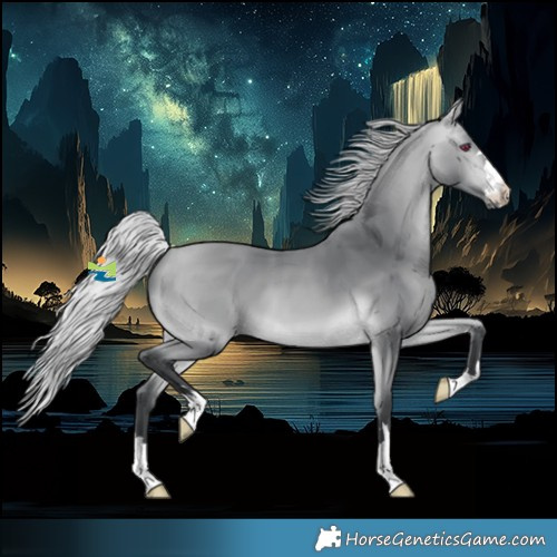 Horse Color:Silver Bay Chinchilla 
