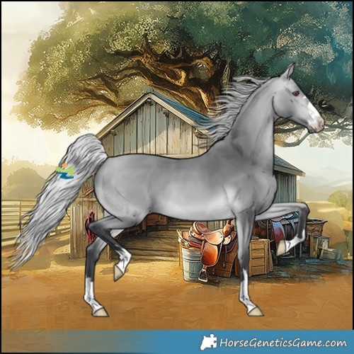 Horse Color:Silver Bay Chinchilla 