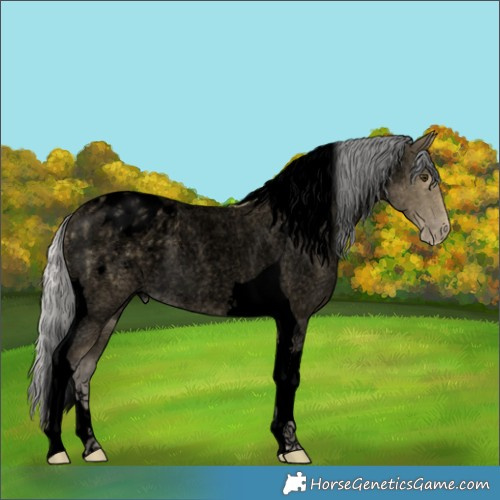 Horse Color:Void Silver Buckskin Roan Tobiano Blanket 