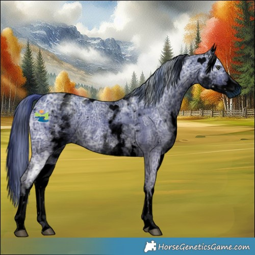 Horse Color:ERROR: UNKNOWN ANOMALY