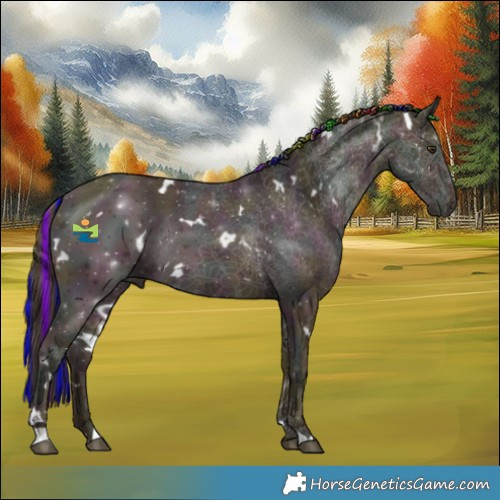 Horse Color:Painted White Spotted Midnight Buckskin Ice Dun Rabicano 