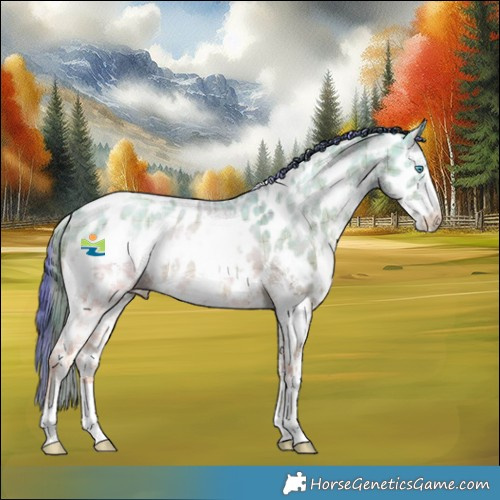 Horse Color:Plaid  White Spotted Amber Cream Champagne Ice Dun Sabino Near Leopard Rabicano 