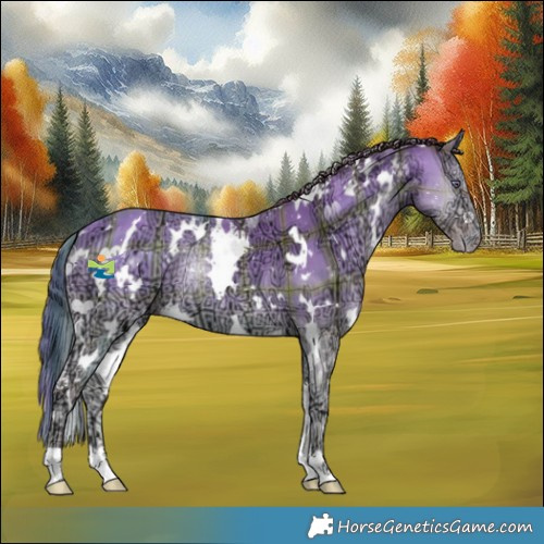 Horse Color:Plaid  White Spotted Chocolate Amber Champagne Chinchilla Ice Onyx 