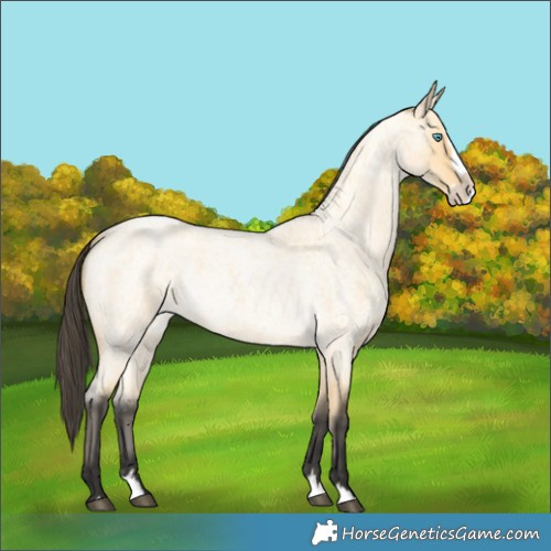 Horse Color:Buckskin Roan Dun Splash 