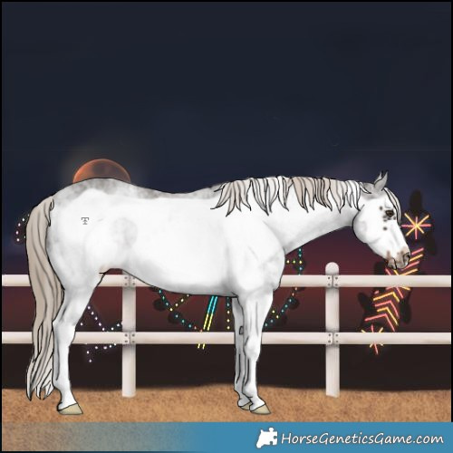 Horse Color:White Spotted Liver Chestnut Frame 
