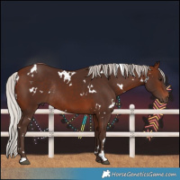 Horse Color:White Spotted Silver Brown Rabicano 