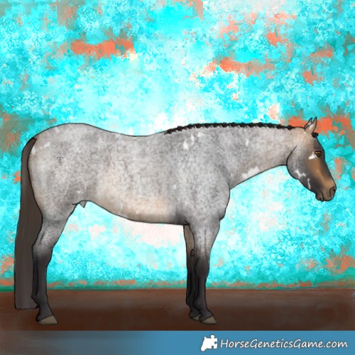 Horse Color:White Spotted Buckskin Roan Rabicano