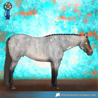 Horse Color:White Spotted Buckskin Roan Rabicano