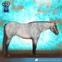 Horse Color:White Spotted Buckskin Roan Rabicano 