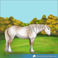 Horse Color:Gray Palomino 