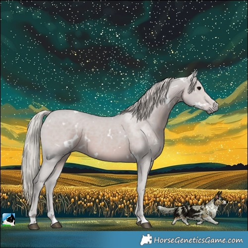 Horse Color:White Spotted Silver Black