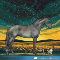 Horse Color:Black Merle