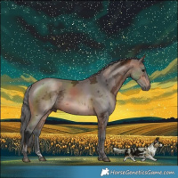 Horse Color:Brown Merle 