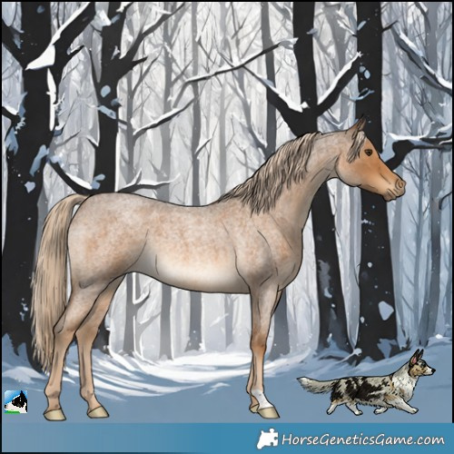 Horse Color:Chocolate Palomino Roan Rabicano 