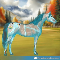 Horse Color:Thunderstruck Liver Red Dun Ice Appaloosa 