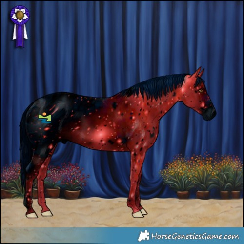 Horse Color:ERROR: UNKNOWN ANOMALY