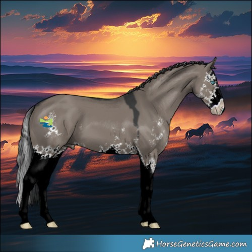 Horse Color:Grullo Sabino Splash 