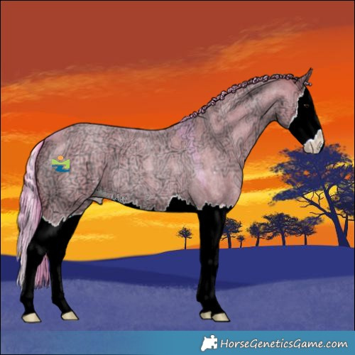 Horse Color:Watercolor Grullo Ice Roan Sabino Splash