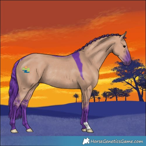 Horse Color:Watercolor Grullo Rabicano 