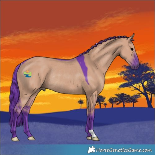Horse Color:Watercolor Grullo Rabicano
