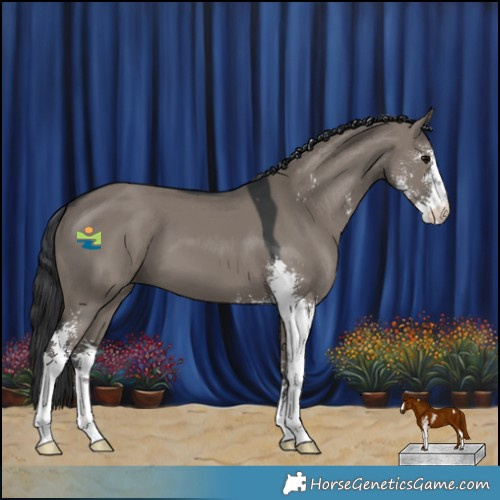 Horse Color:Grullo Sabino 