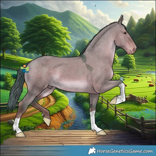 Horse Color:Watercolor Liver Red Dun Appaloosa 