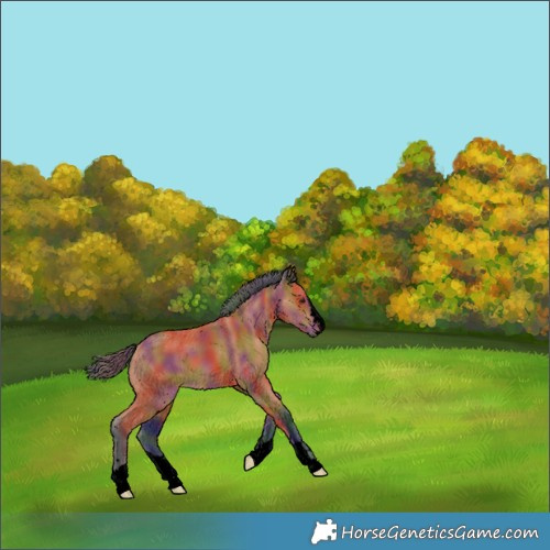 Horse Color:Void Nacre Bay