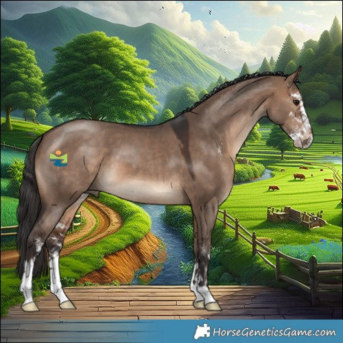 Horse Color:Brown Dun Sabino 