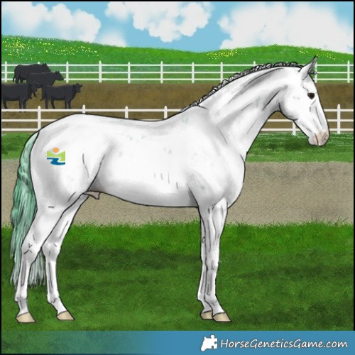 Horse Color:Watercolor Brown Dun Mushroom Sabino Brindle 