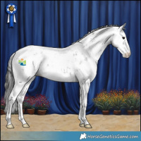 Horse Color:Grullo Sabino 