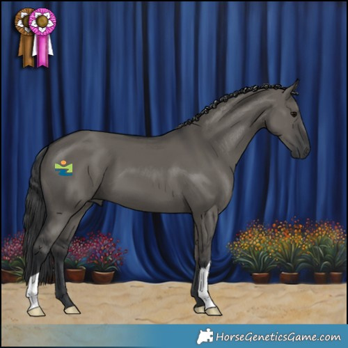 Horse Color:Grullo
