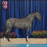 Horse Color:Grullo 