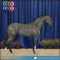 Horse Color:Grullo 