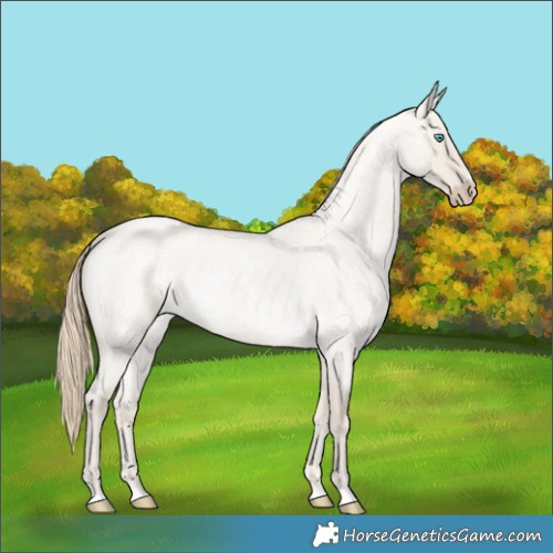 Horse Color:Smoky Creme Roan Dun