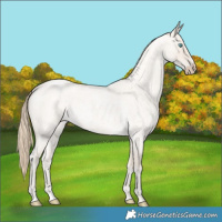 Horse Color:Smoky Creme Roan Dun 