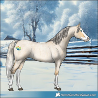 Horse Color:Silver Buckskin Roan Dun Sabino Splash