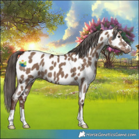 Horse Color:Liver Red Dun Near Leopard 