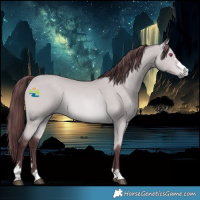 Horse Color:Platinum Chocolate Bay Chinchilla Rabicano