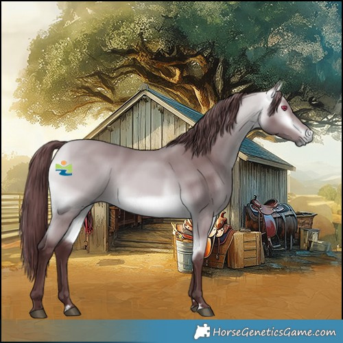 Horse Color:Chocolate Buckskin Chinchilla Rabicano 