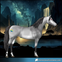 Horse Color:Platinum Buckskin Chinchilla