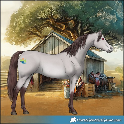 Horse Color:Platinum Chocolate Bay Chinchilla 