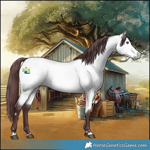 Horse Color:Platinum Chocolate Buckskin Chinchilla 