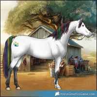 Horse Color:Platinum Painted Bay Chinchilla 