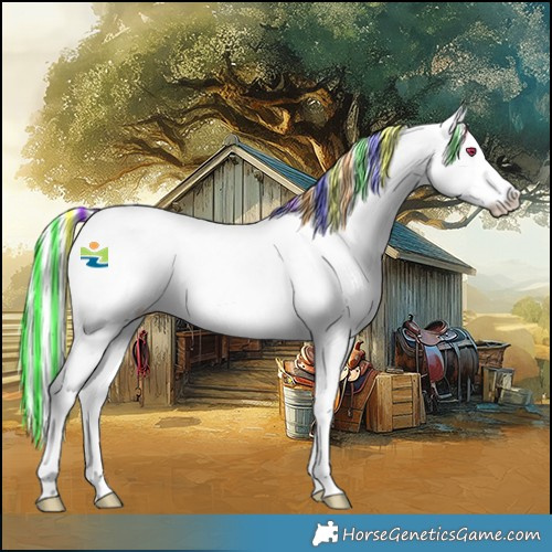 Horse Color:Platinum Painted Palomino Chinchilla Splash 